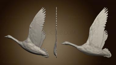 3D model Swan fly (STL)